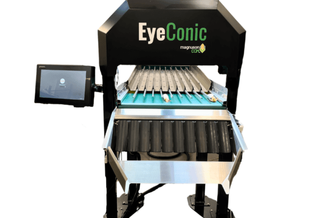 Supporting Image